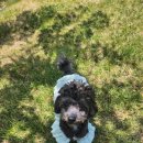 스테이 선물같은시간 이미지