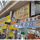 윤철민치과의원 네이버블로그