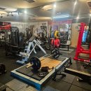 피티 명가 이미지