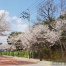 봉양건강축구캠프장 이미지