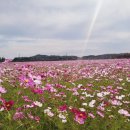 남도삼백리길(8코스) 이미지