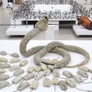 반쪽이 상상력 박물관전 이미지