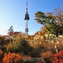 [남부] 캘리그라피(2025) 이미지