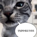 데일리라이프