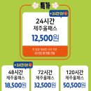 이벤트 랜덤 사격장 | 제주올패스 48+2시간 권 사용 후기