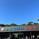 초당할머니순두부 이미지