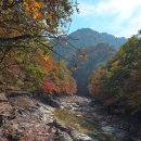 475차 강원도 내설악 백담사 산행공지 이미지