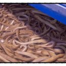 마사회뒷편 이미지