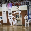 세종의 아침 태권도 이미지