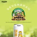 브로이 스포츠한국