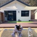 아요하우스 이미지