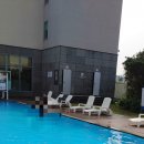 아모렉스 이미지