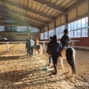 대전승마장 이미지