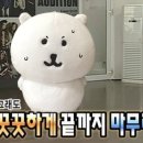 덴그라운드