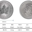 [판매완료]1 oz Silver Canadian Maple Leaf(은화) 15개 이미지