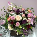 누리사랑의원 이미지