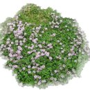 문화재공원1 이미지