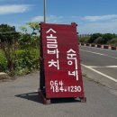 2196 | 제주 동쪽 구좌 맛집｜돌문어볶음 맛집 소금바치 순이네 방문 후기