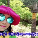 채희 이미지