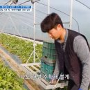 주환농장 이미지