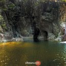 깊은산속 이미지