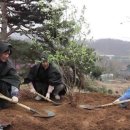 안수영농장 이미지