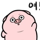 코인노래부평점 노래연습장 이미지