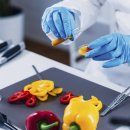 새로식품 이미지