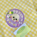 펫스튜리(petschurri) | [추천] 강아지 케이크/간식 :: 펫스튜리 배송 후기 (사이즈,택배 배송,가격) | 강아지 저알러지 간식