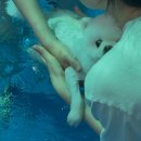 무창포 히든빌리지 이미지