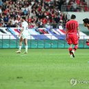 '잔디 고민' 축구협회, 10월 이라크전 용인미르스타디움서 개최 이미지