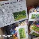사라몬테쏘리어린이집 울산종합일보