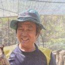 온세미로 농장 네이버블로그
