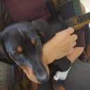 여한경동물병원 이미지