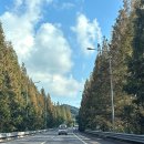 전주를그리다 이미지