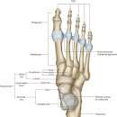 봄꽃한의원 이미지