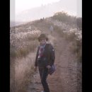제주 천사의시-1편 새별오름& 4.2스튜디오카페 이미지