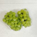 복주농장 이미지