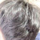 사과나무 토탈케어 | 남자패스트샴푸 머리 기르기로 유명한 마로17 후기