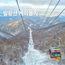 유전카프라자 | 평창 모나 용평리조트 발왕산 케이블카 할인 예약 스카이워크 눈꽃