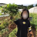 사계절농장 이미지