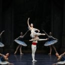 대구경북발레페스티벌 이미지