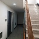 다인리치뷰 이미지