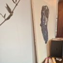 남중동-41 이미지