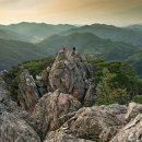 홍천종합행정 | 어설픈 출마 난립 속 홍천의 선택… 성과 있는 리더십이 살길이다