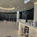 퍼피파라다이스 이미지