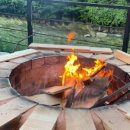 숲속의 계곡 이미지