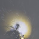 모터스테이션(본점) 이미지