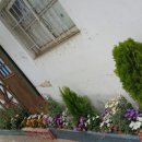 연풍3리 이미지