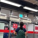 포레스트모가 이미지